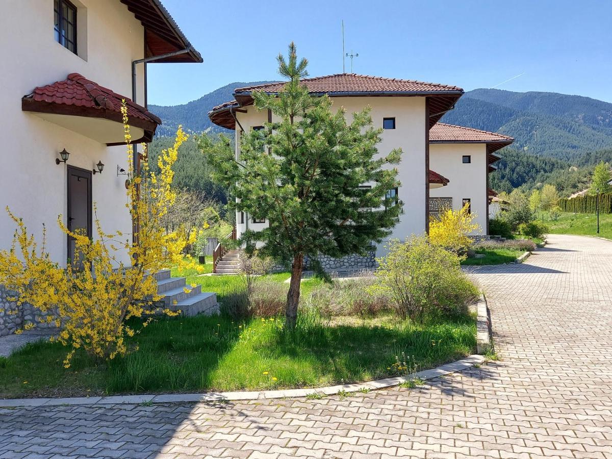 Pinerose Resort 班斯科 外观 照片